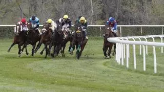 Latigazos a los caballos