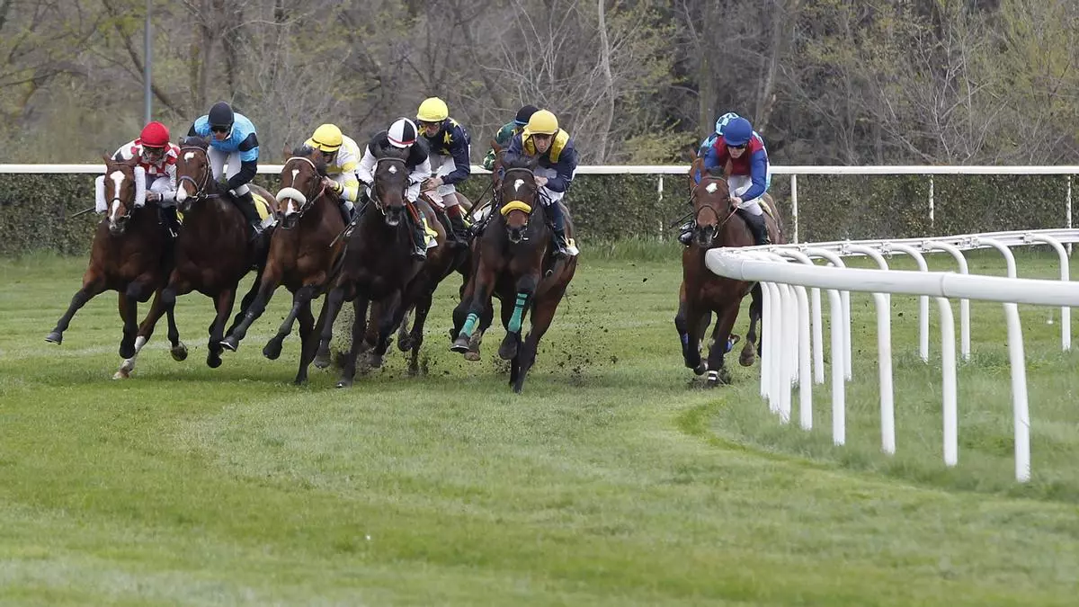 Latigazos a los caballos