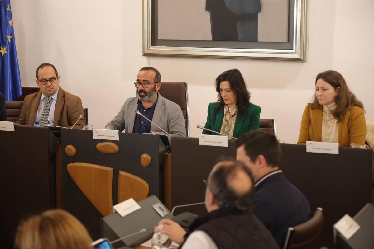 FOTOGALERÍA | El último pleno del año de la Diputación de Cáceres, en imágenes