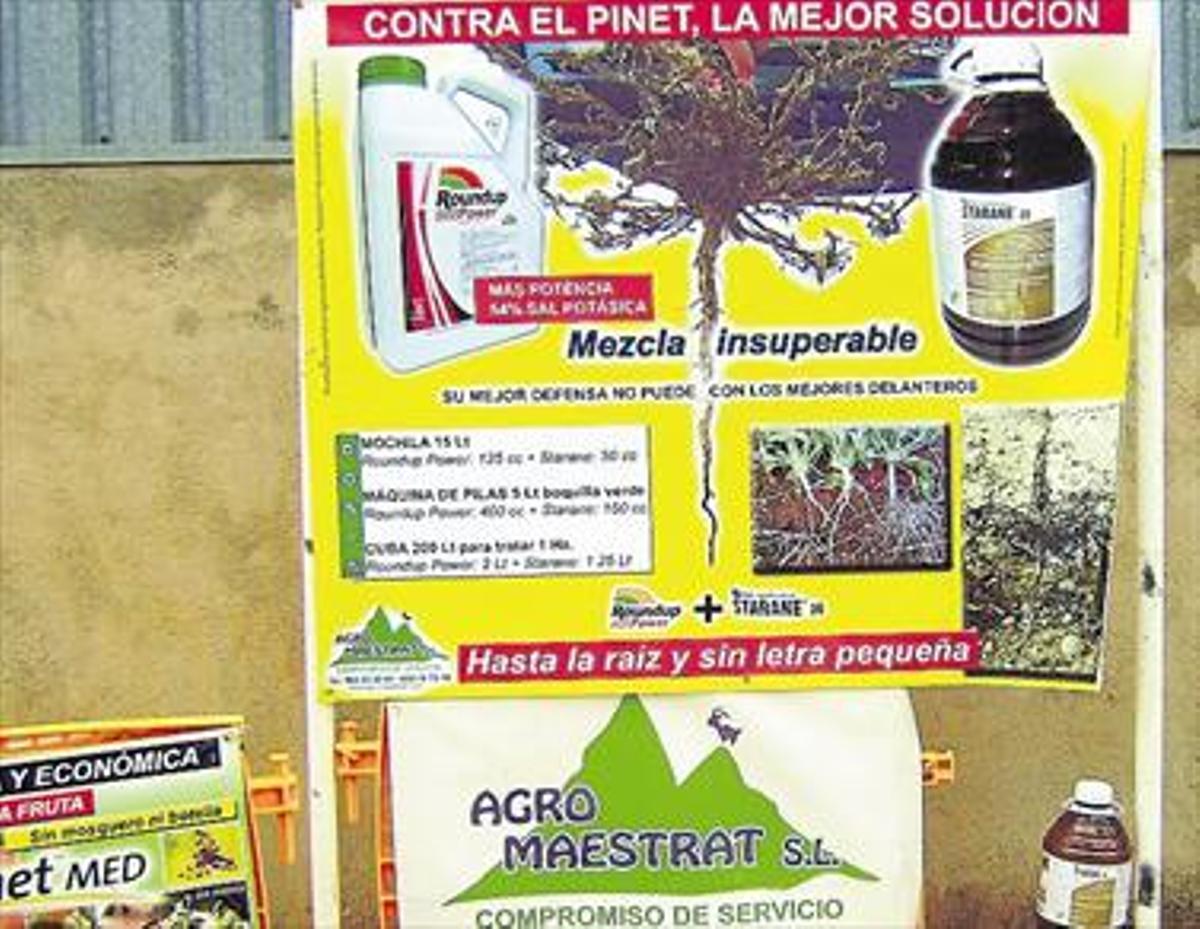Agromaestrat marca la diferencia en la lucha contra la mosca de la fruta y el ‘pinet’