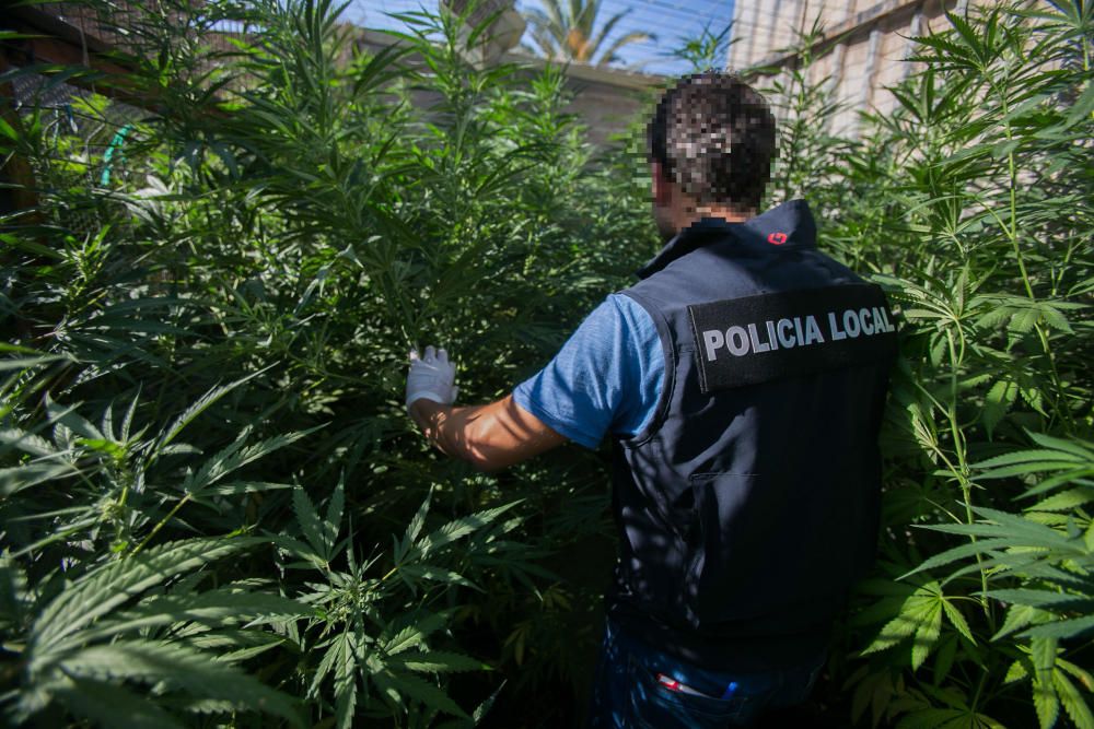 La Policía Local ha hallado cerca de 200 plantas, balanzas de precisión, una escopeta, dos hachas y un machete