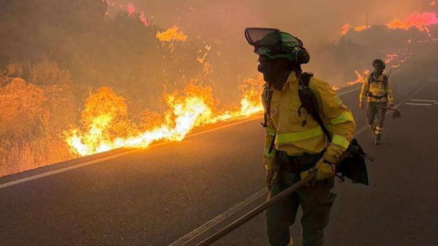 Los bomberos tratan de controlar el incendio de Los Gallardos, en Almería
