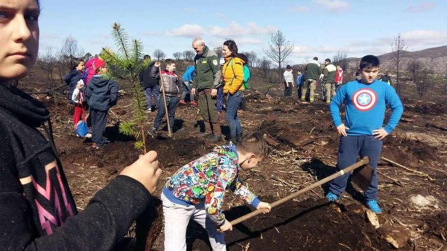 Una imagen de los niños de Cotobade durante la plantación de árboles. //G.S