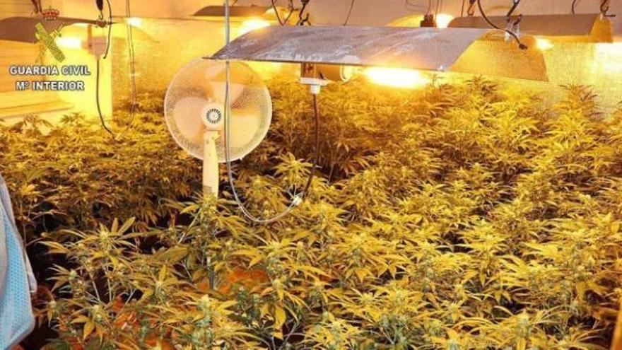 Cinco detenidos en Nava y Carreño por tener plantaciones interiores y laboratorios de marihuana en casas rurales