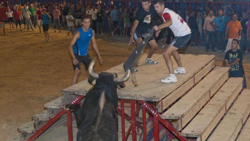 Los animalistas de PACMA alaban la prohibición de los toros en Sueca