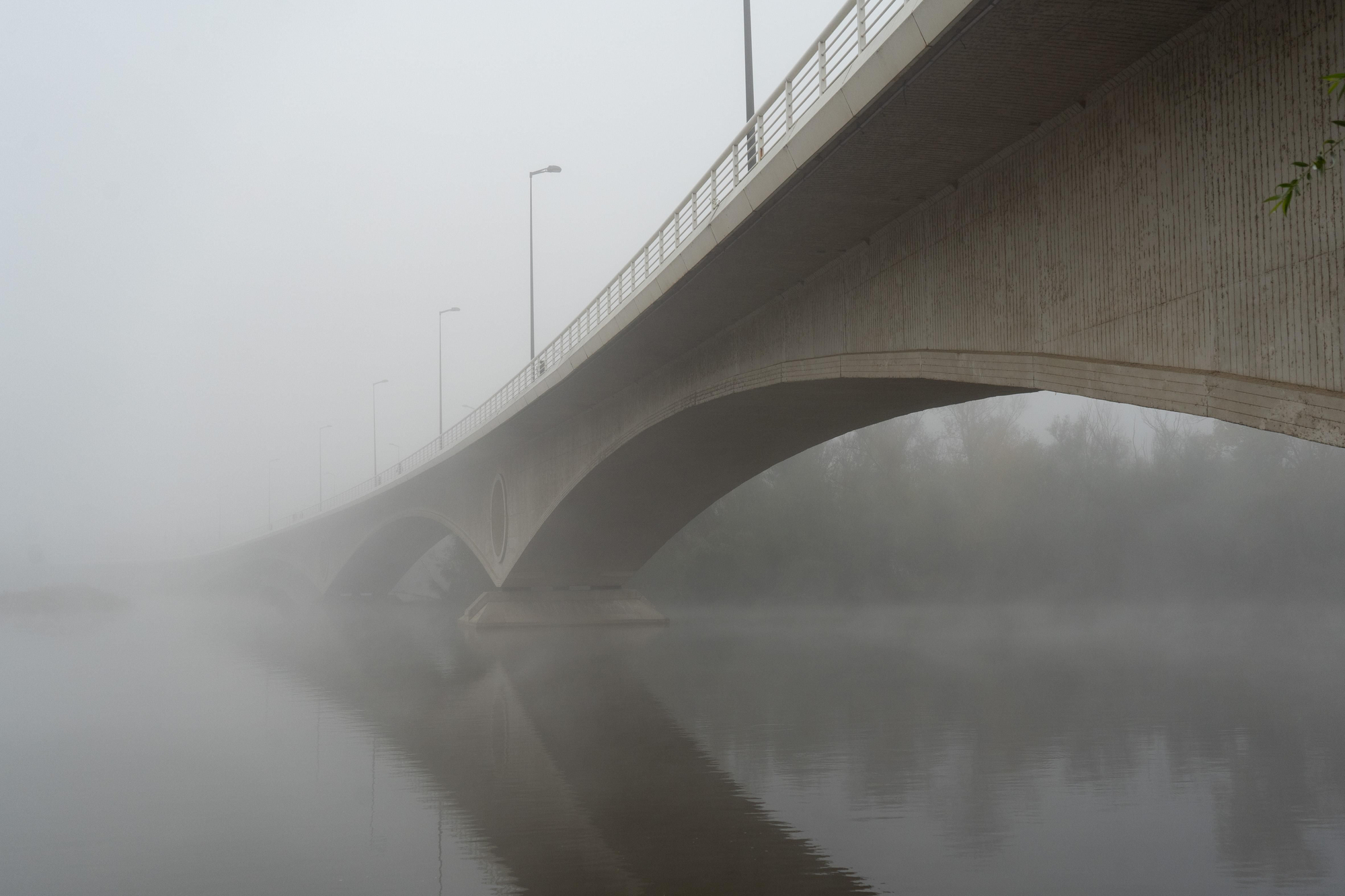 Niebla