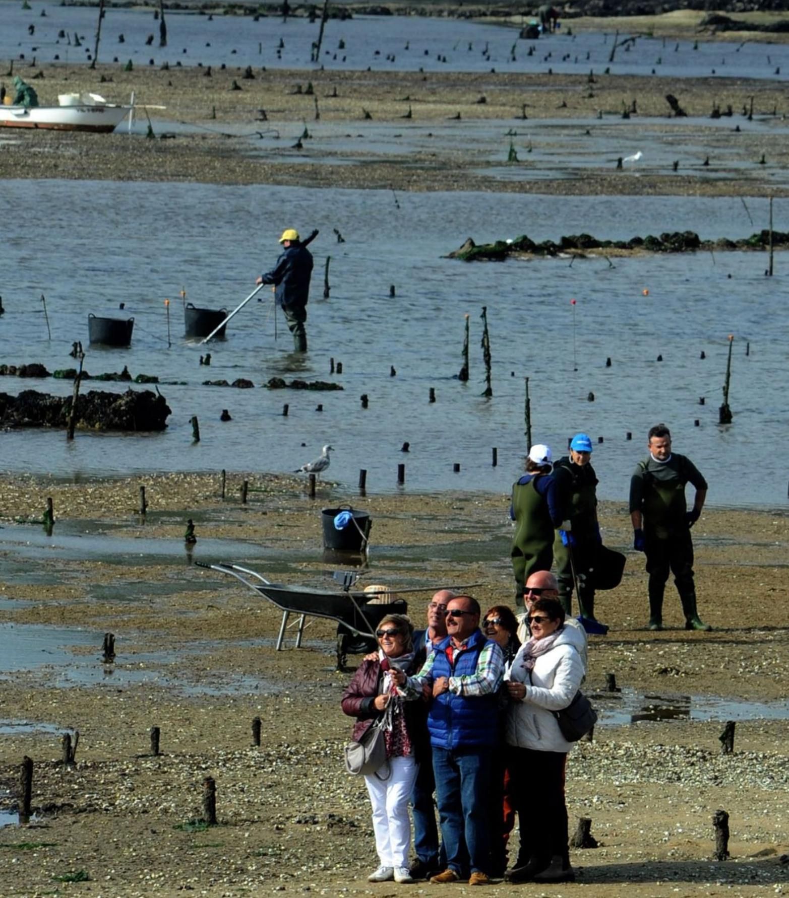 Turistas y parquistas en los viveros de Carril.