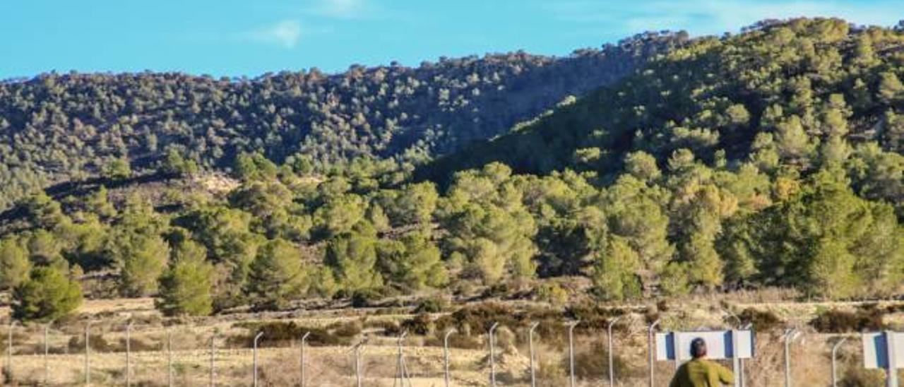 Una imagen del entorno de Sierra Escalona, que está a la espera de ser protegida como Parque Natural de la Comunidad.