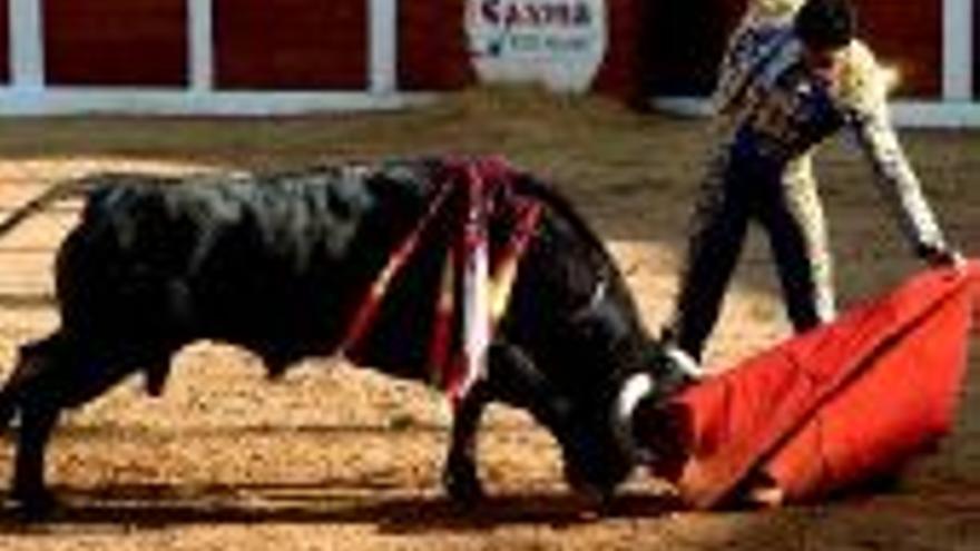 Festejos ganó 6.064  con los toros de feria