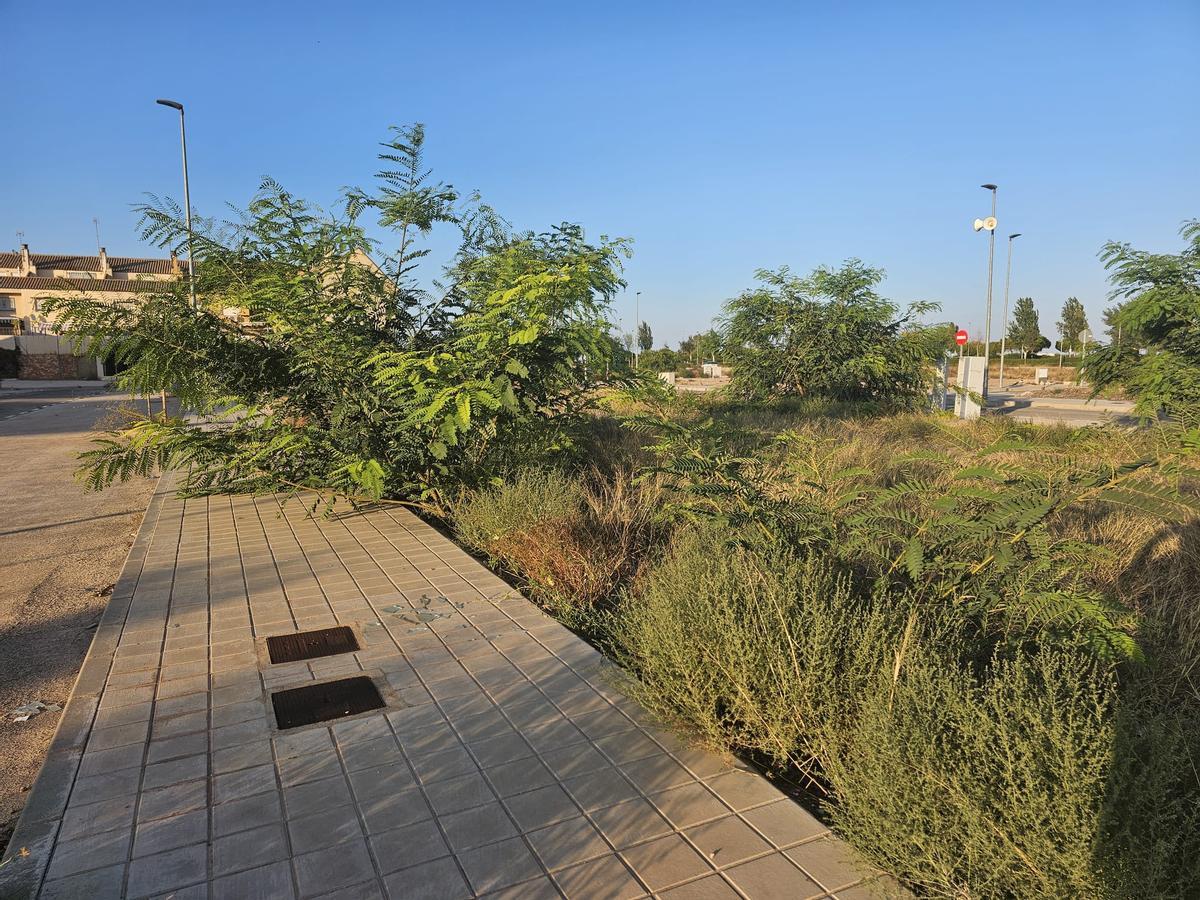 Solares invandiendo una acera en Albalat dels Sorells.