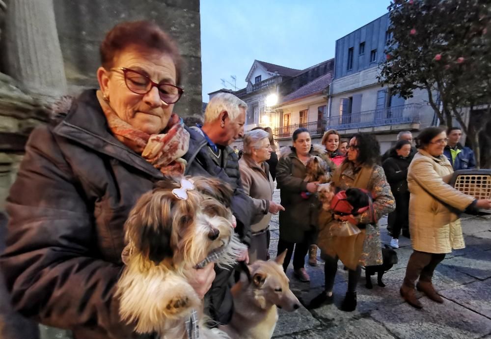 Los cangueses, con sus animales.