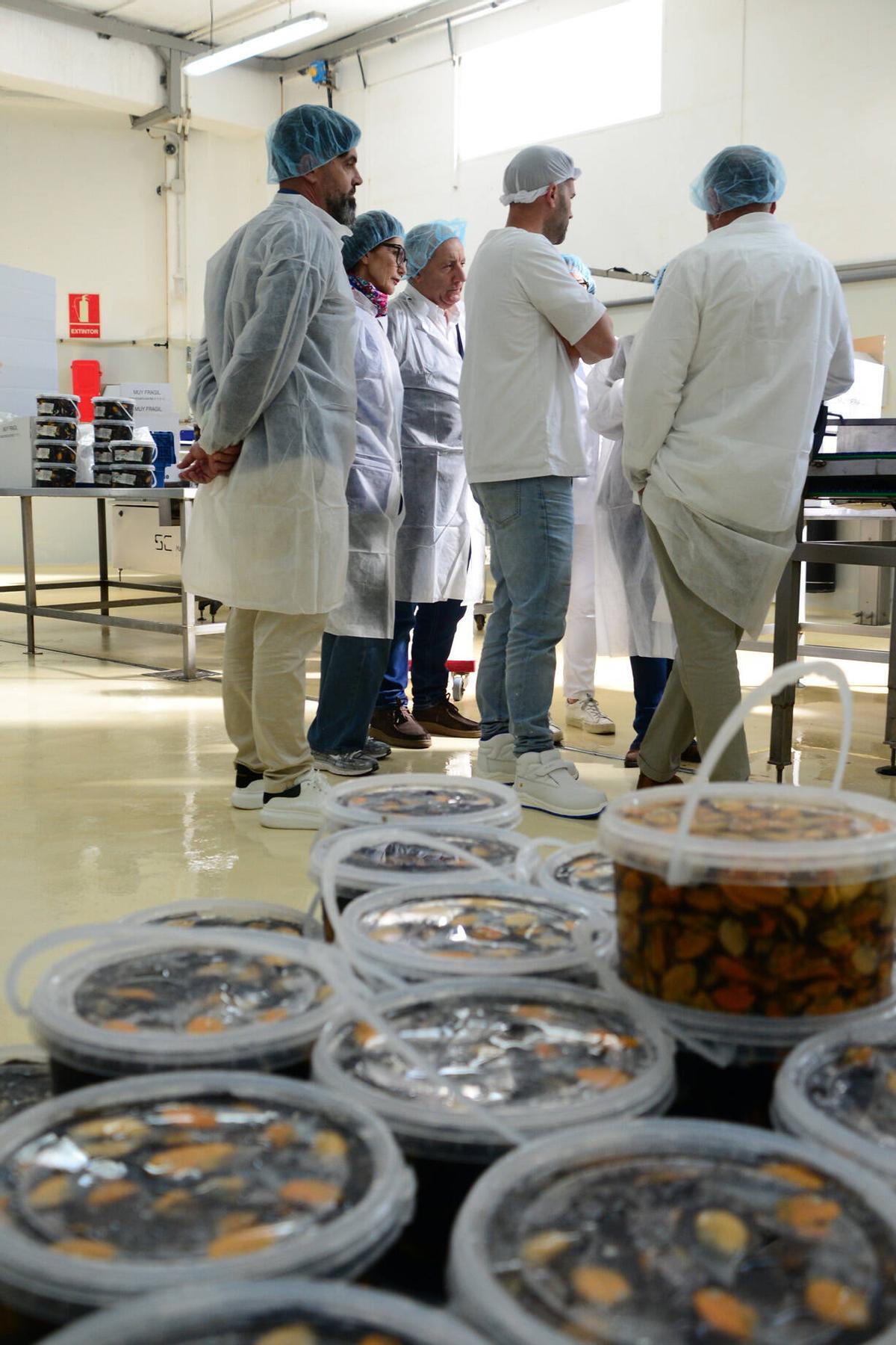 Visita a las instalaciones de Pescados Marcelino, una empresa con más de medio siglo de historia en el puerto de Aldán Visita a las instalaciones de Pescados Marcelino, una empresa con más de medio siglo de historia en el puerto de Aldán