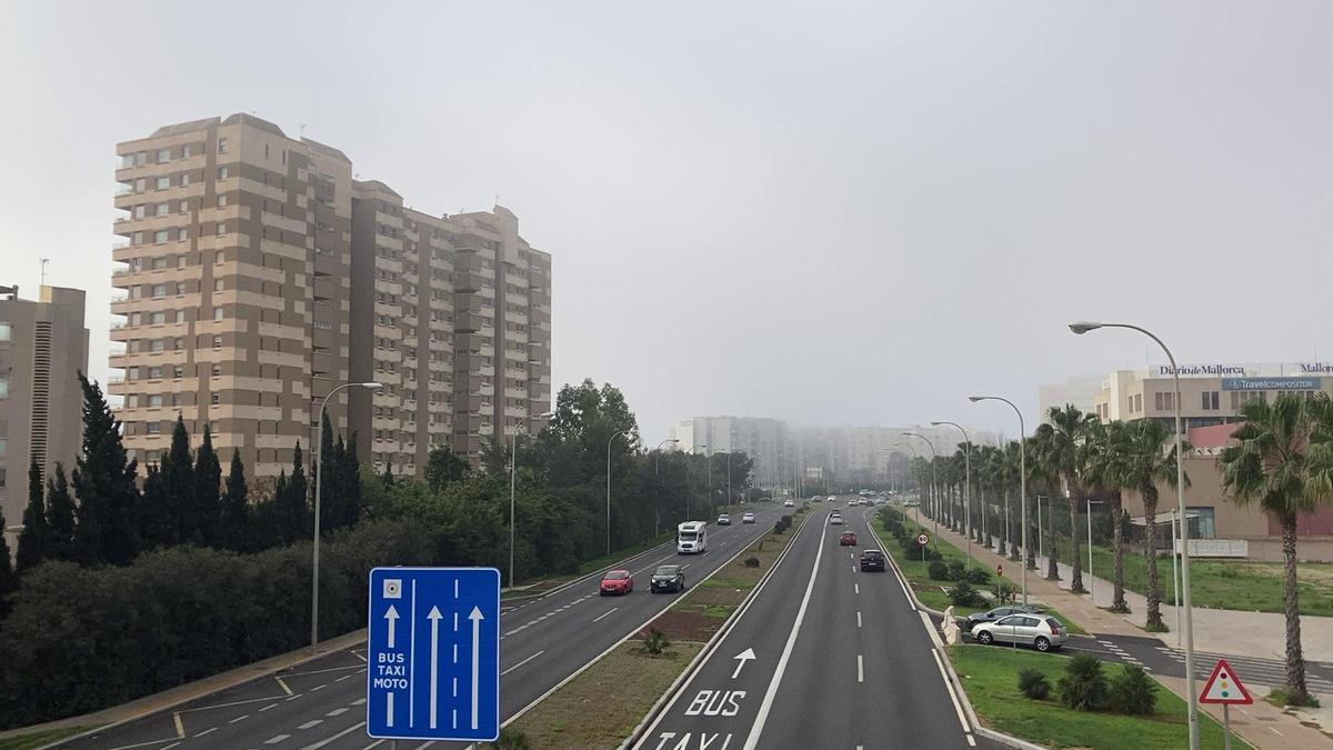 Vídeo | Niebla en Mallorca