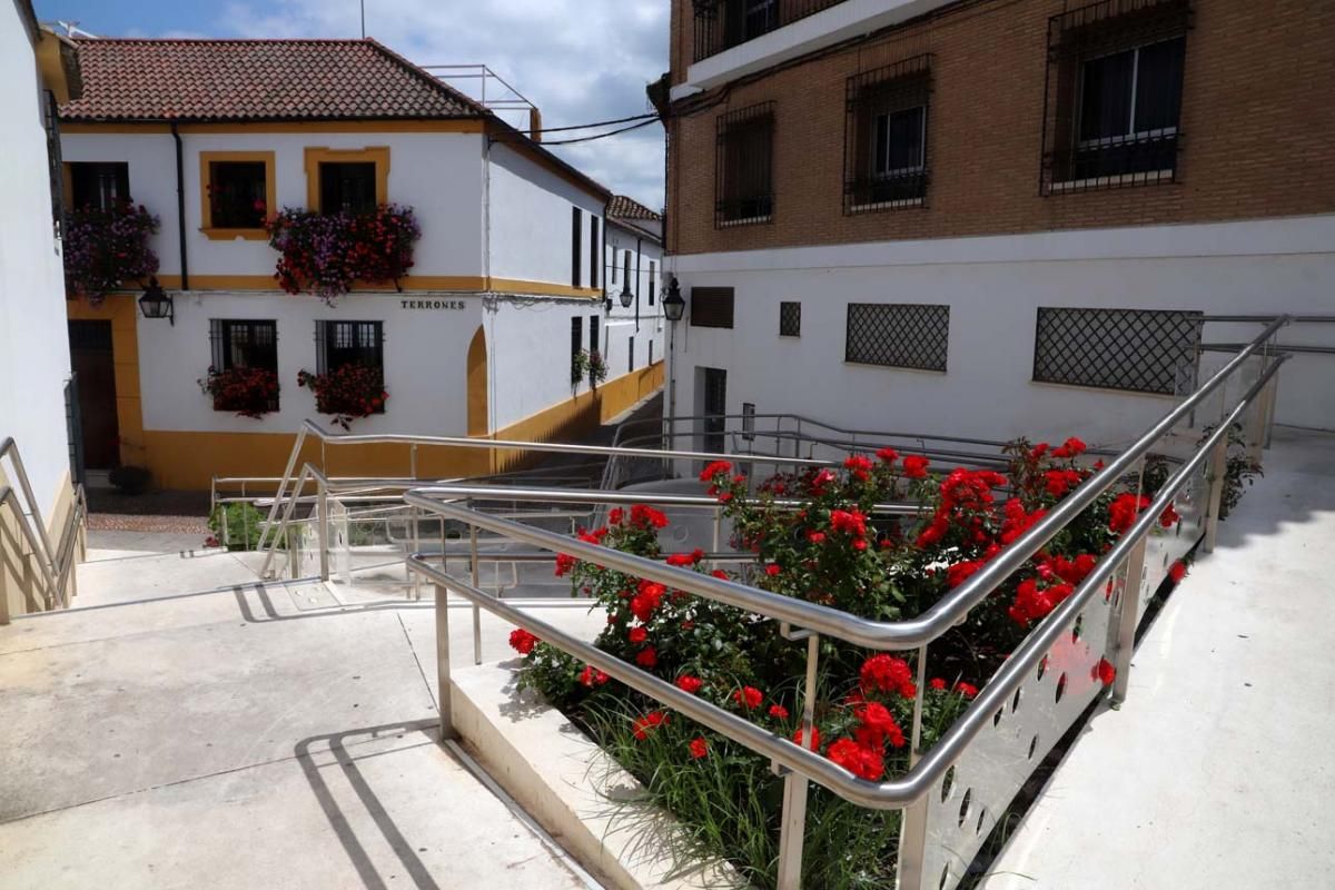 Paseo por el Alcázar Viejo durante la crisis del coronavirus