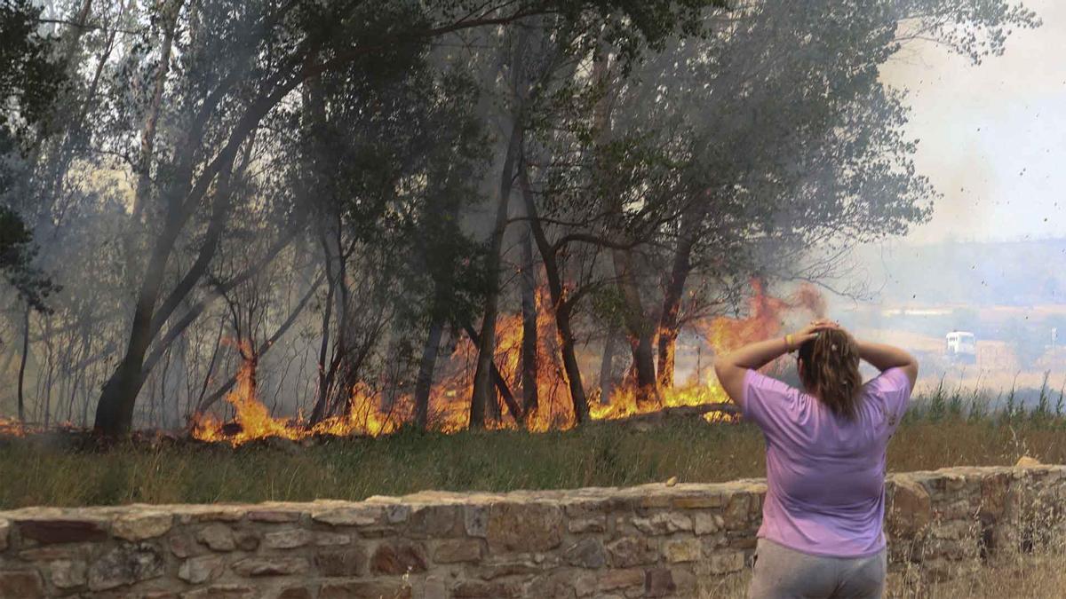 Incendios forestales arrasan parajes naturales de toda España