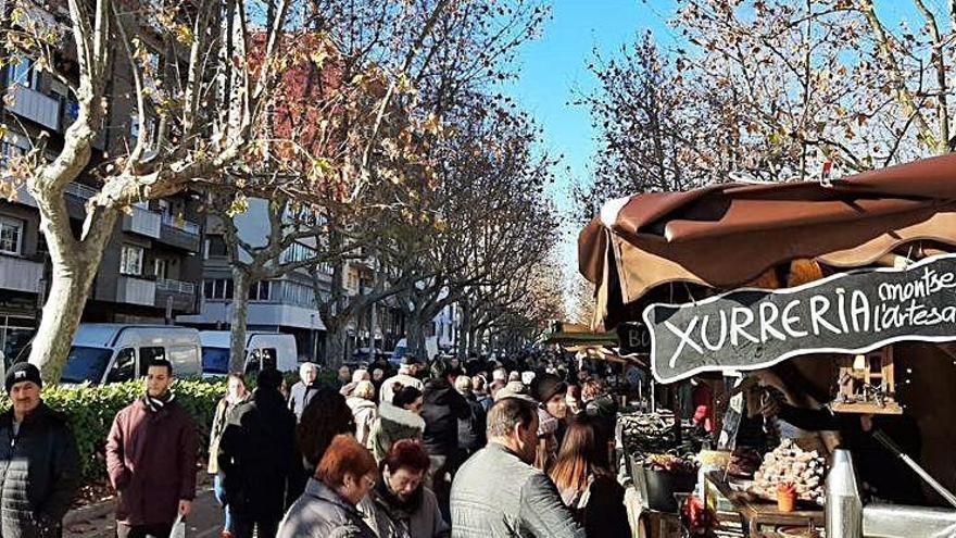 Un estudi detecta que als carrers d&#039;Igualada hi ha un excés de plàtans