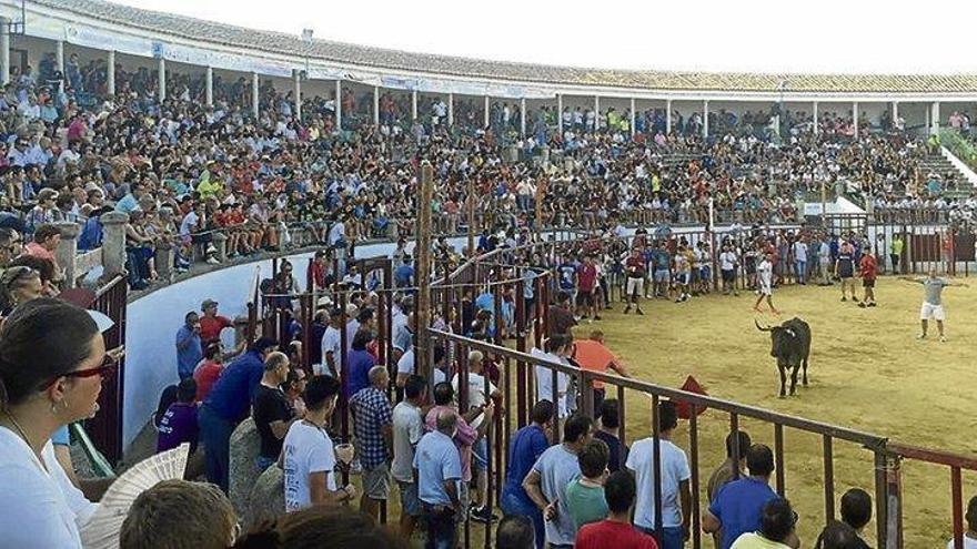 Organizan una capea nocturna y discoteca móvil durante las fiestas