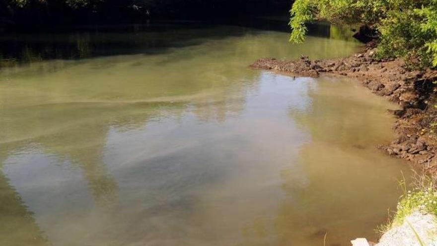 Un vertido de color marrón tiñó las aguas del río Lérez a su paso por Monte Porreiro.  // Rafa Vázquez