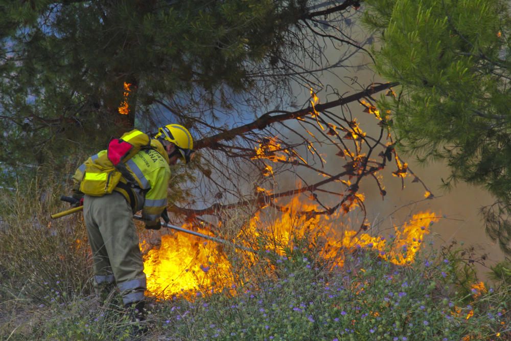 Un incendio pone en riesgo varias fábricas de Alco