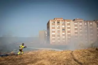 Bomberos extinguen un conato de incendio en Las Mantecas, La Laguna
