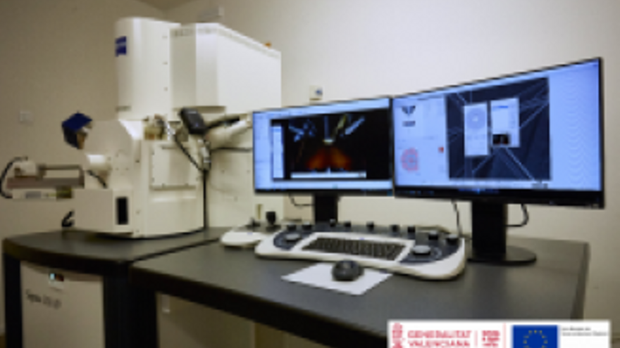 La UMH se dota de un nuevo microscopio para visualizar virus y nanoestructuras