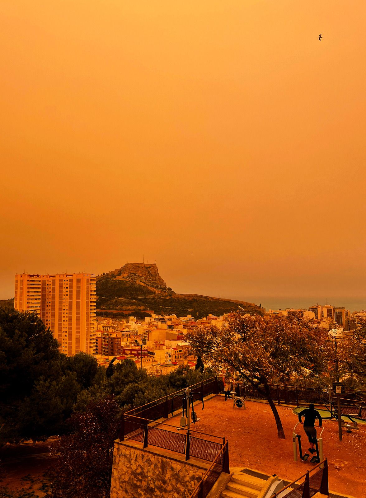 NUBE DE POLVO | El polvo sahariano tiñe de amarillo la provincia de Alicante