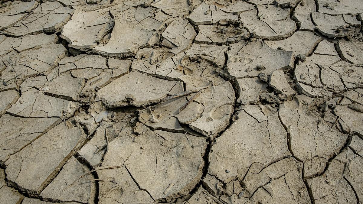 Maciek Wróblewski / Unsplash