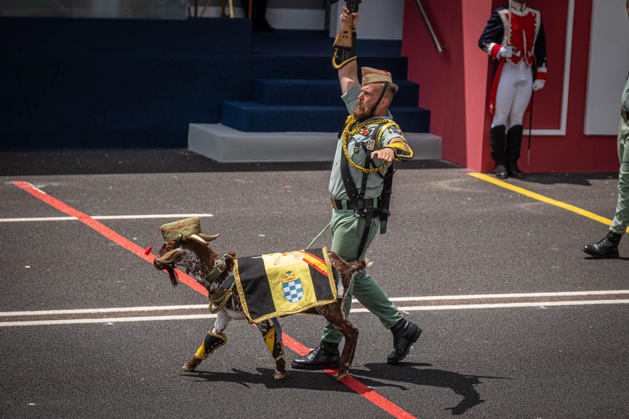 Las mejores imágenes del desfile militar de las Fuerzas Armadas en Tenerife con la presencia de Sus Majestades los Reyes