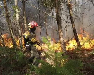 Diez de los 12 municipios de Arousa tienen riesgo alto de incendio forestal