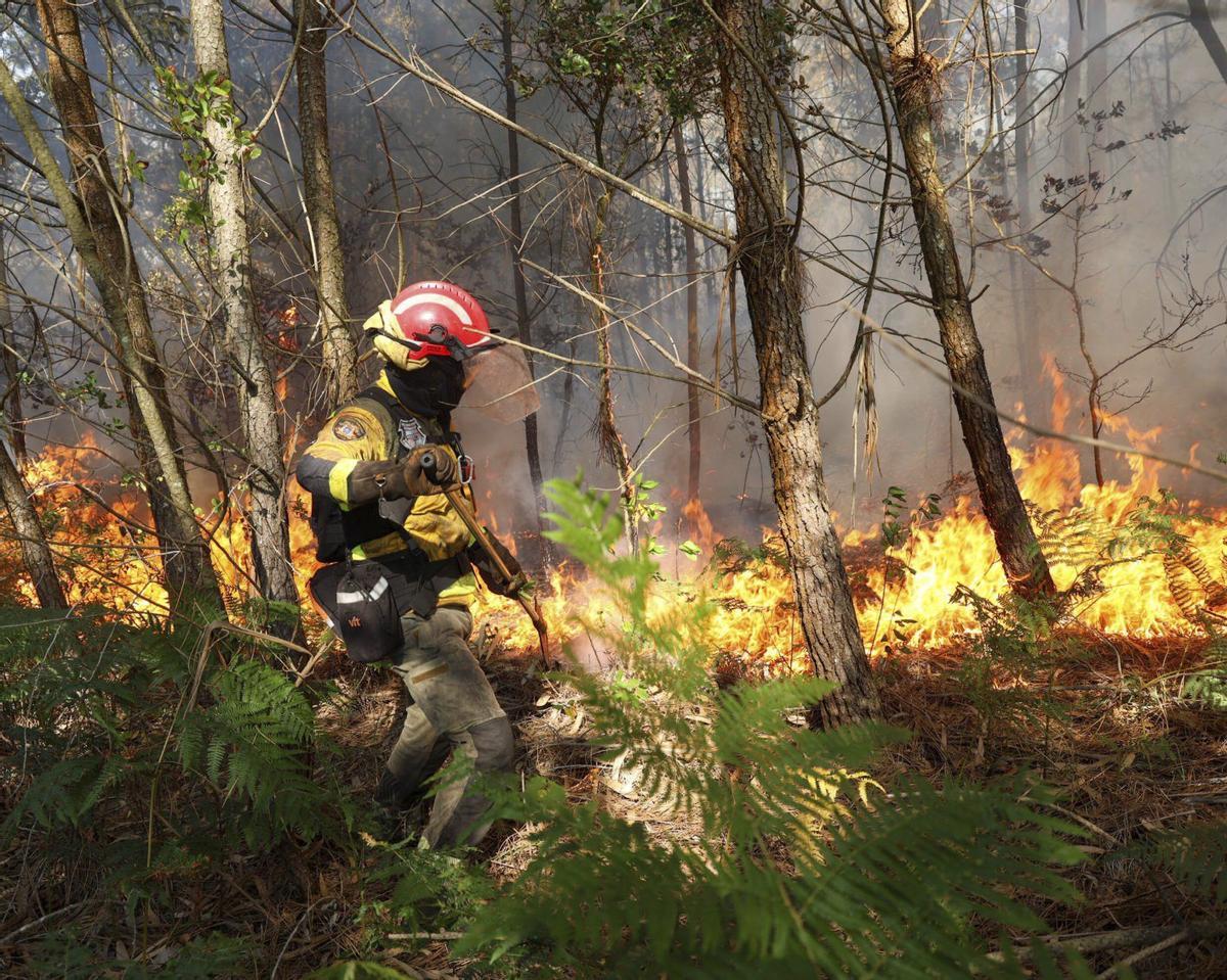 Un bombero forestal ataca las llamas de un incendio en Meis, el verano pasado. | NOÉ PARGA