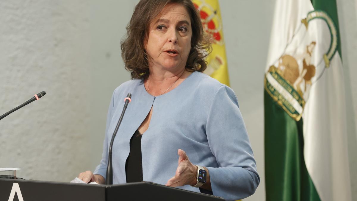 La consejera de Salud y Consumo, Catalina García, durante su intervención en una rueda de prensa posterior a la reunión del Consejo de Gobierno