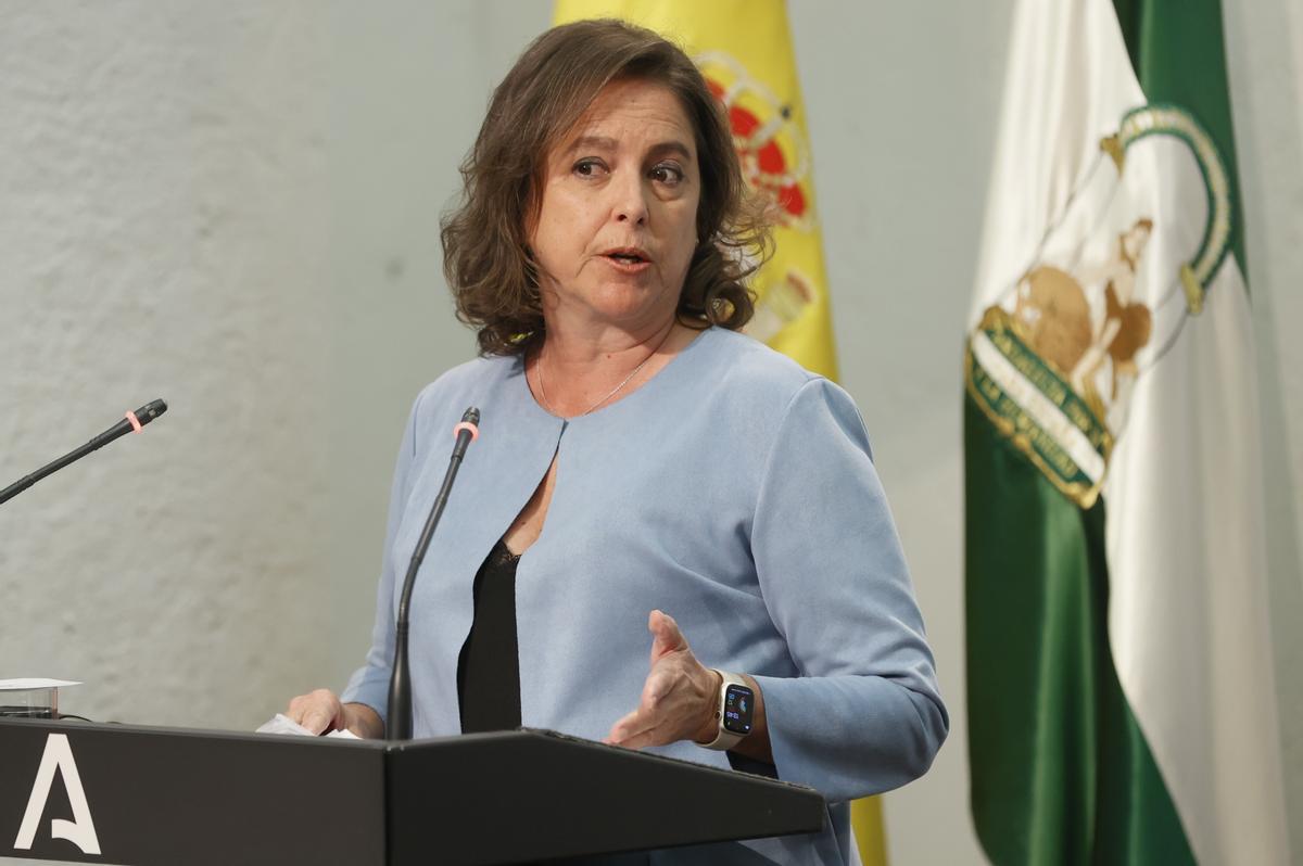 La consejera de Salud y Consumo, Catalina García, durante su intervención en una rueda de prensa posterior a la reunión del Consejo de Gobierno