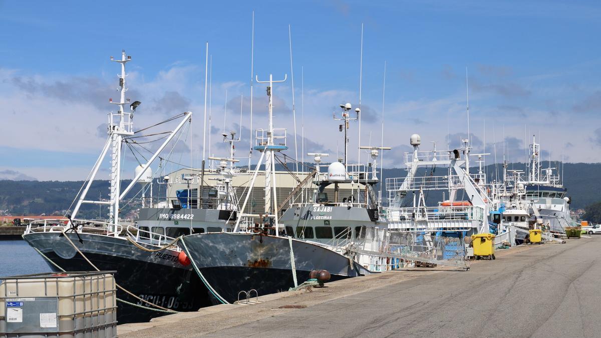 Arrastreros amarrados en el puerto de Marín