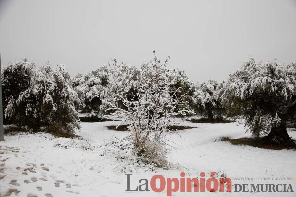 Nieve en las Fuentes del Marqués de Caravaca