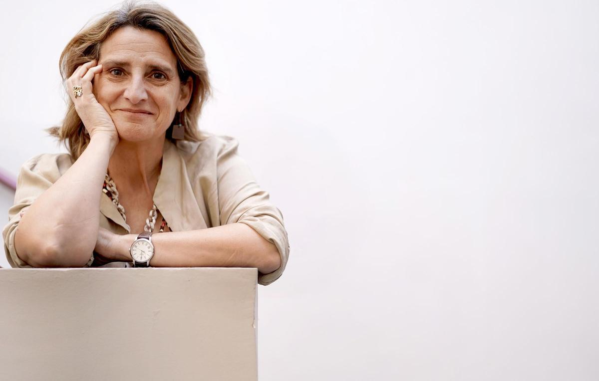 Teresa Ribera, el pasado 24 de mayo en la sede del PSOE.