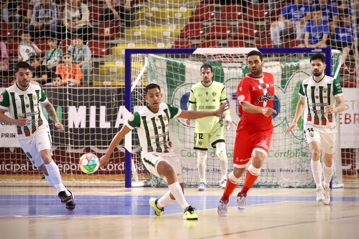 Córdoba Futsal-Jimbee Cartagena: el partido de Vista Alegre en imágenes Córdoba Futsal-Jimbee Cartagena: el partido de Vista Alegre en imágenes