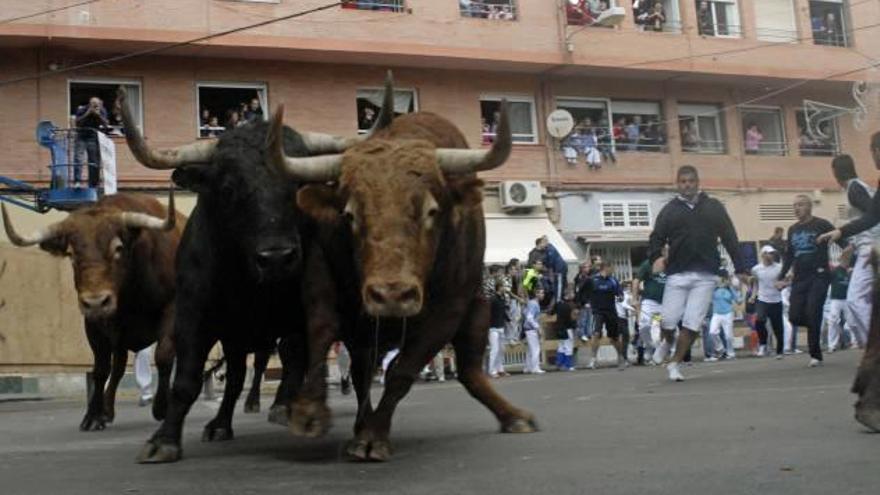 Los taurinos se movilizan para defender el BIC de los «bous al carrer»