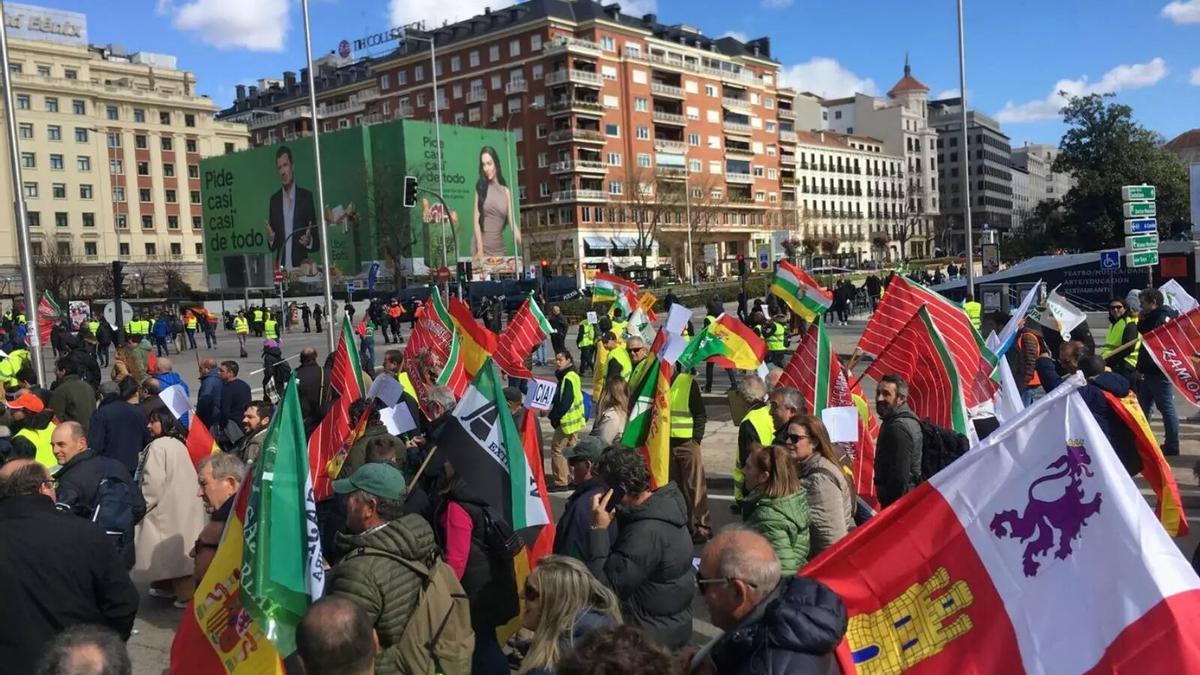 Agricultores zamoranos en la manifestación