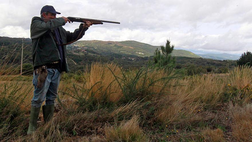 Un cazador en el inicio de la temporada en Galicia // J. Regal