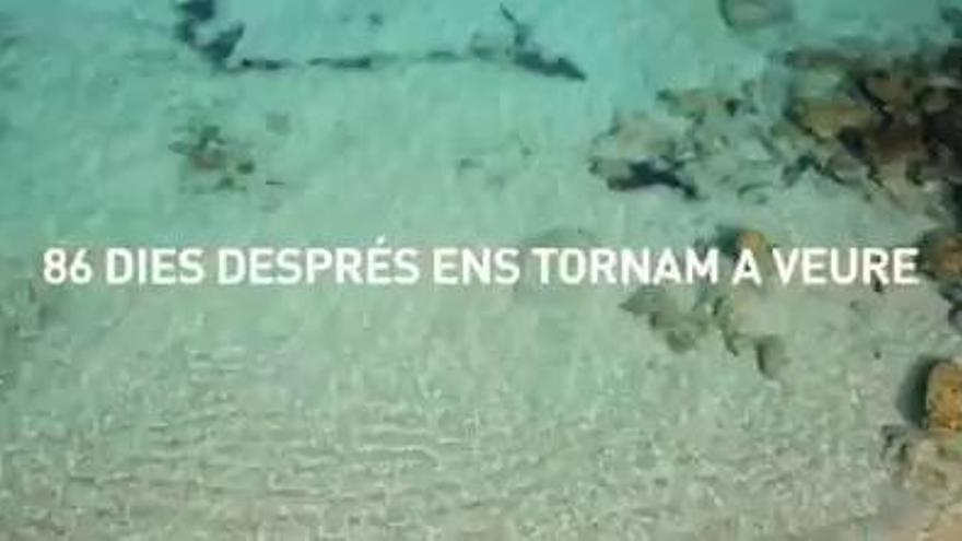 &quot;Nos volvemos a ver&quot;: el Govern celebra la reapertura de la movilidad entre las islas