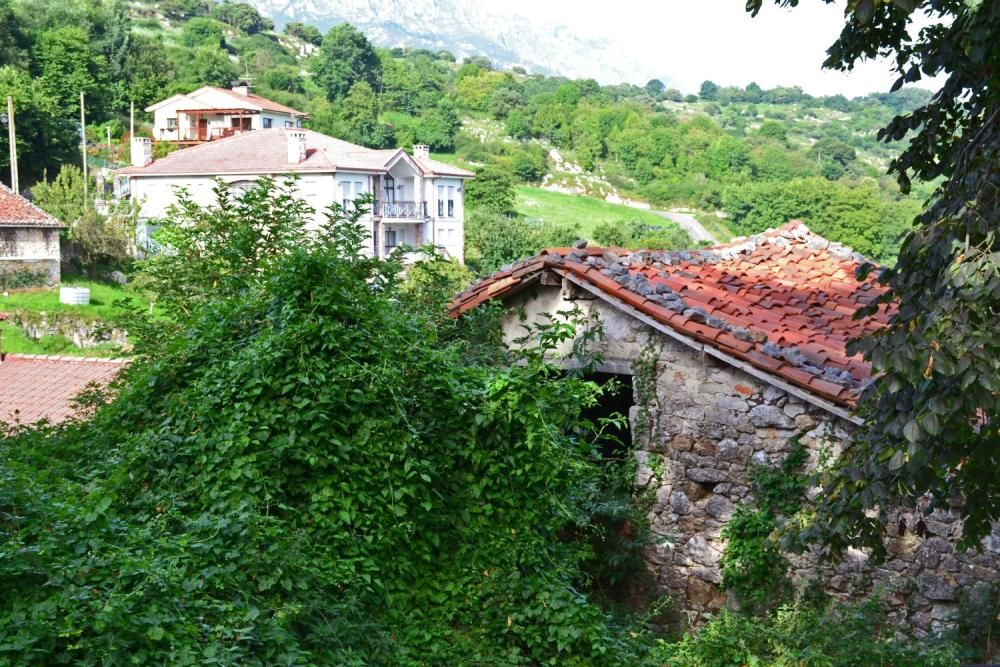 Asiegu (Cabrales), nuevo premio Pueblo Ejemplar de