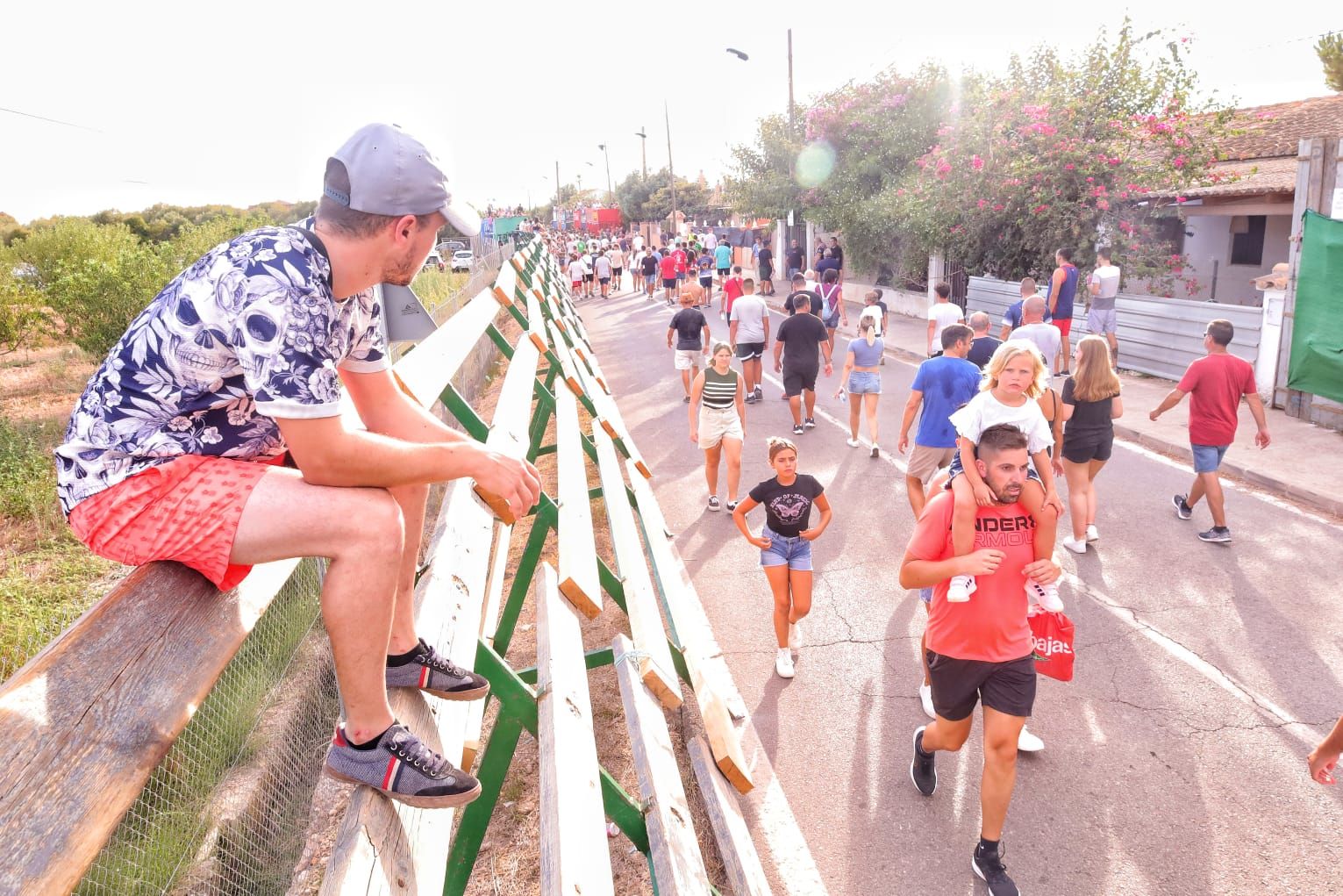 Santa Bárbara, en Burriana, vibra con el 'bou en corda'