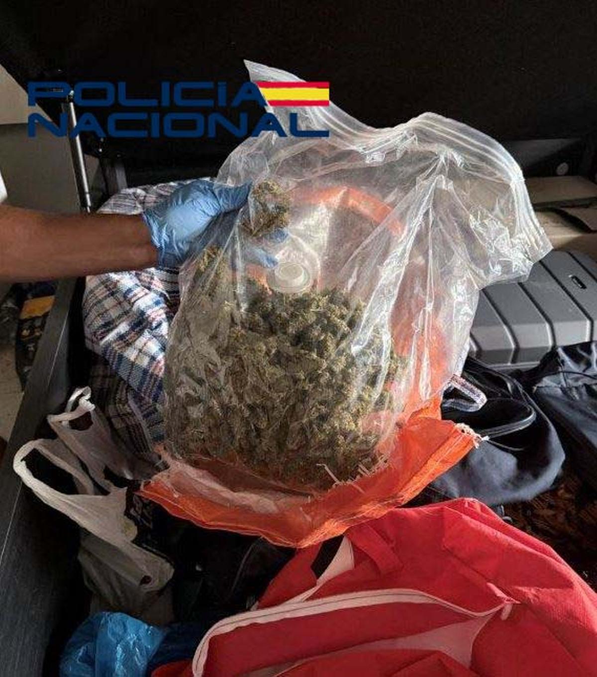 Marihuana incautada en la vivienda de Las Vaguadas.