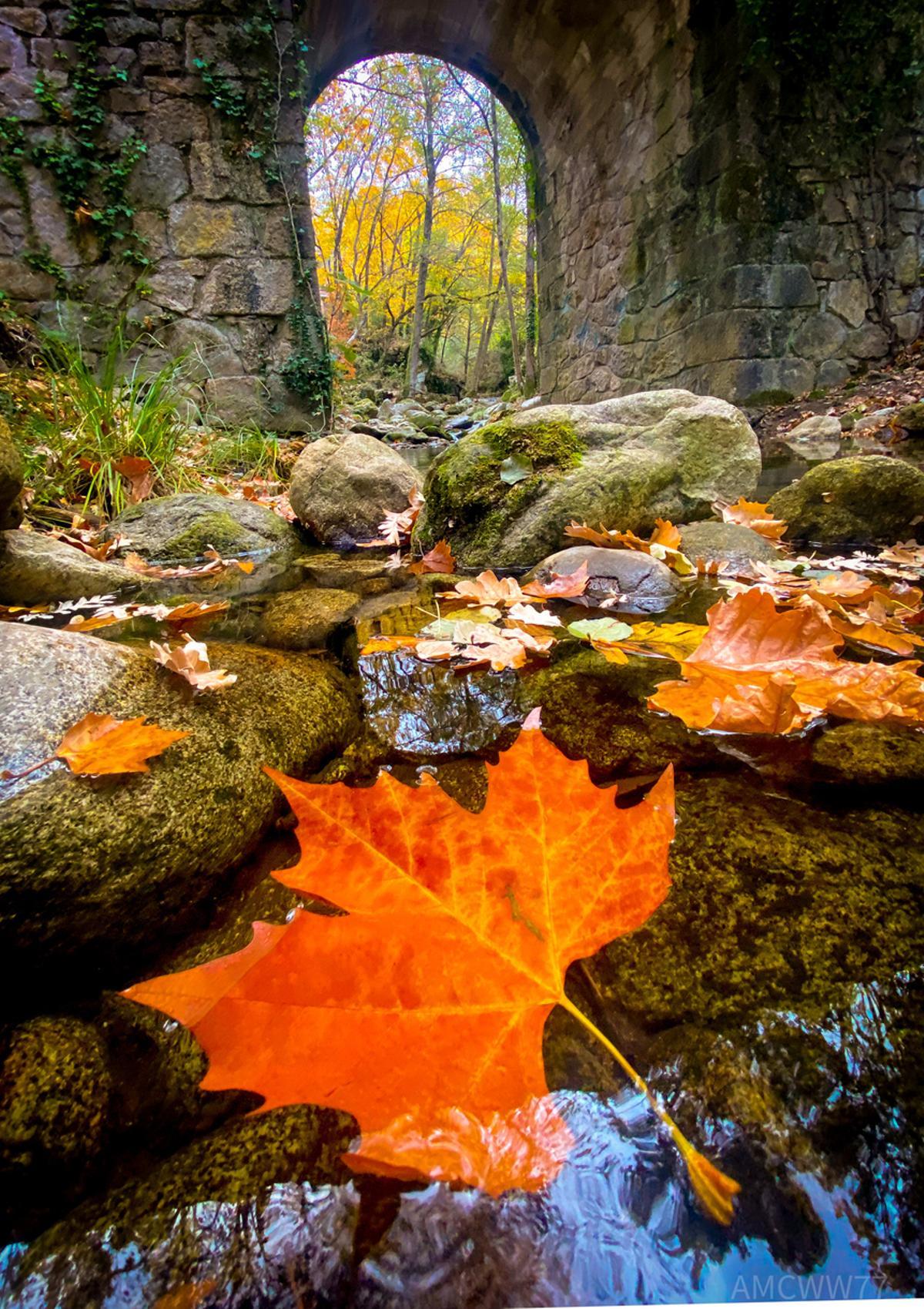 Valle del Ambroz en Hervás