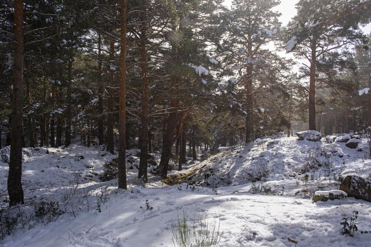 Paisaje nevado en la Barranca, Navacerrada, Madrid.