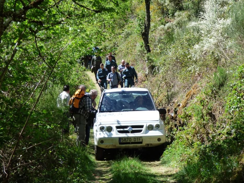 Recogida de los osos muertos en Cangas del Narcea