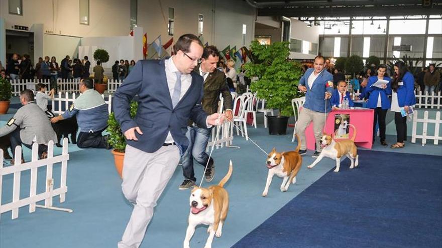 La exposición canina reunirá a 1.200 perros este domingo