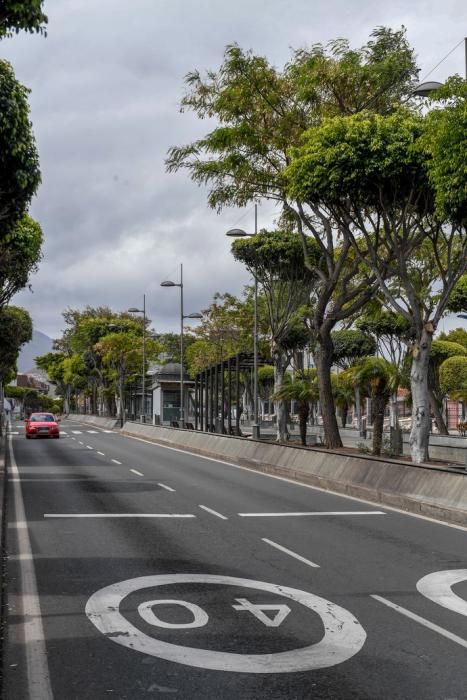 25-03-20 GRAN CANARIA. TELDE. TELDE. Recorrido por la ciudad de Telde para vera su desolación.   Fotos: Juan Castro.  | 25/03/2020 | Fotógrafo: Juan Carlos Castro