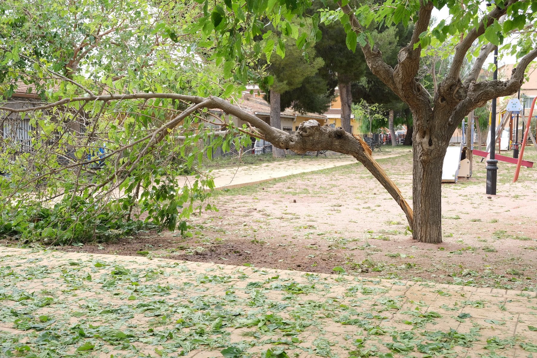 Tormenta de intensidad torrencial con rayos y granizo en el Alto y Medio Vinalopó