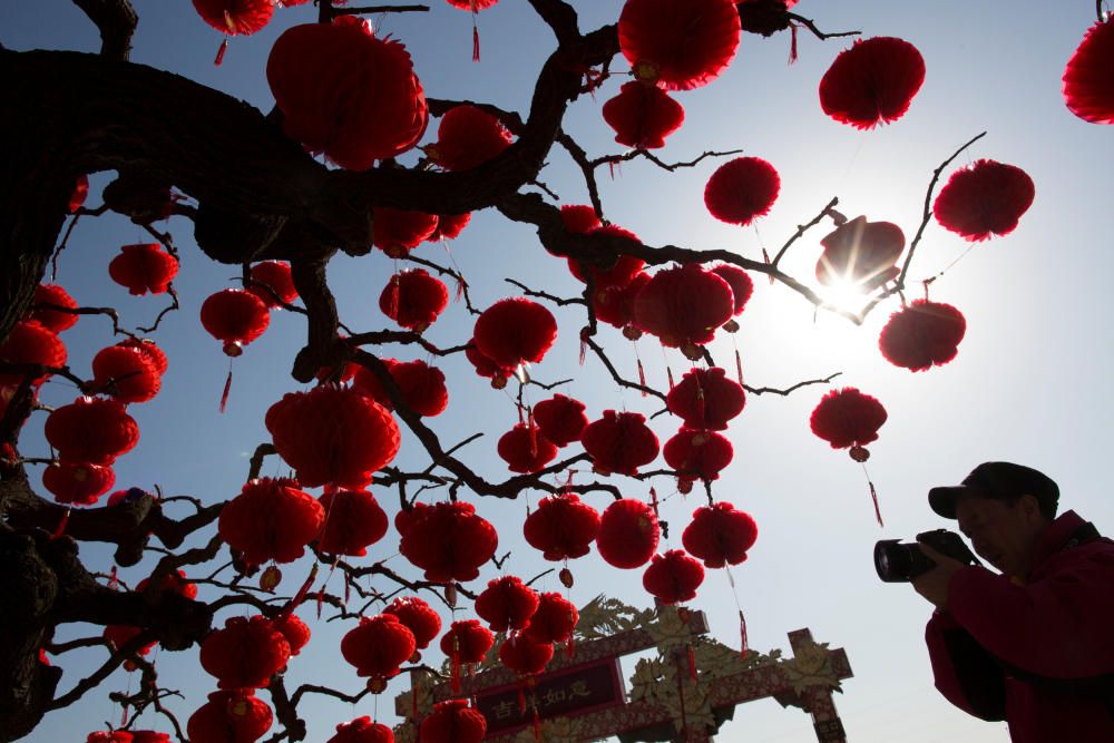 A man takes pictures of a tree decorated with ...